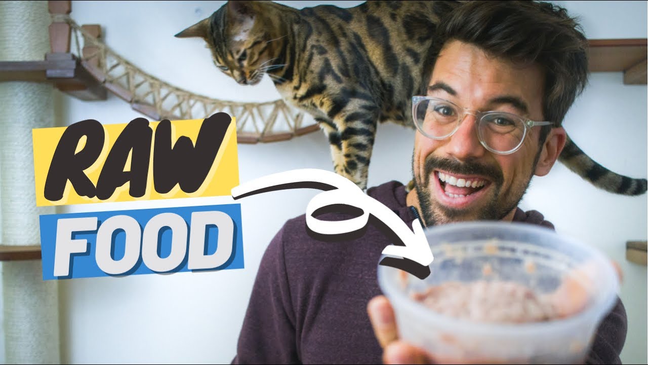 I Started Feeding my Cat Raw. YOU SHOULD TOO Learn Why