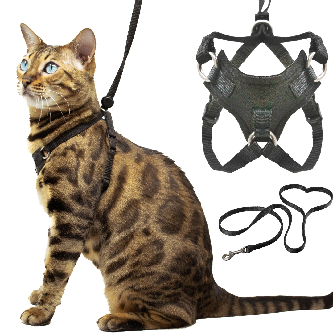 No Pull Cat Harness For Outdoor Walking