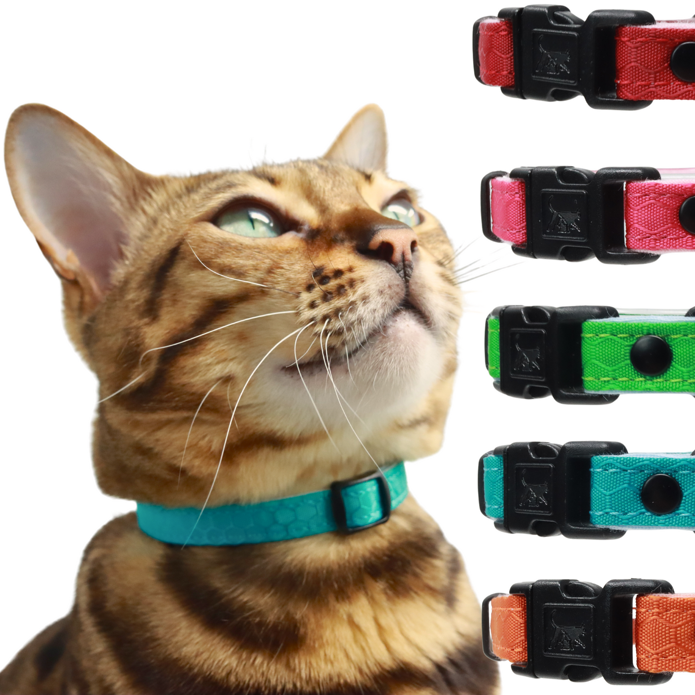 Durable Break Away Cat Collar