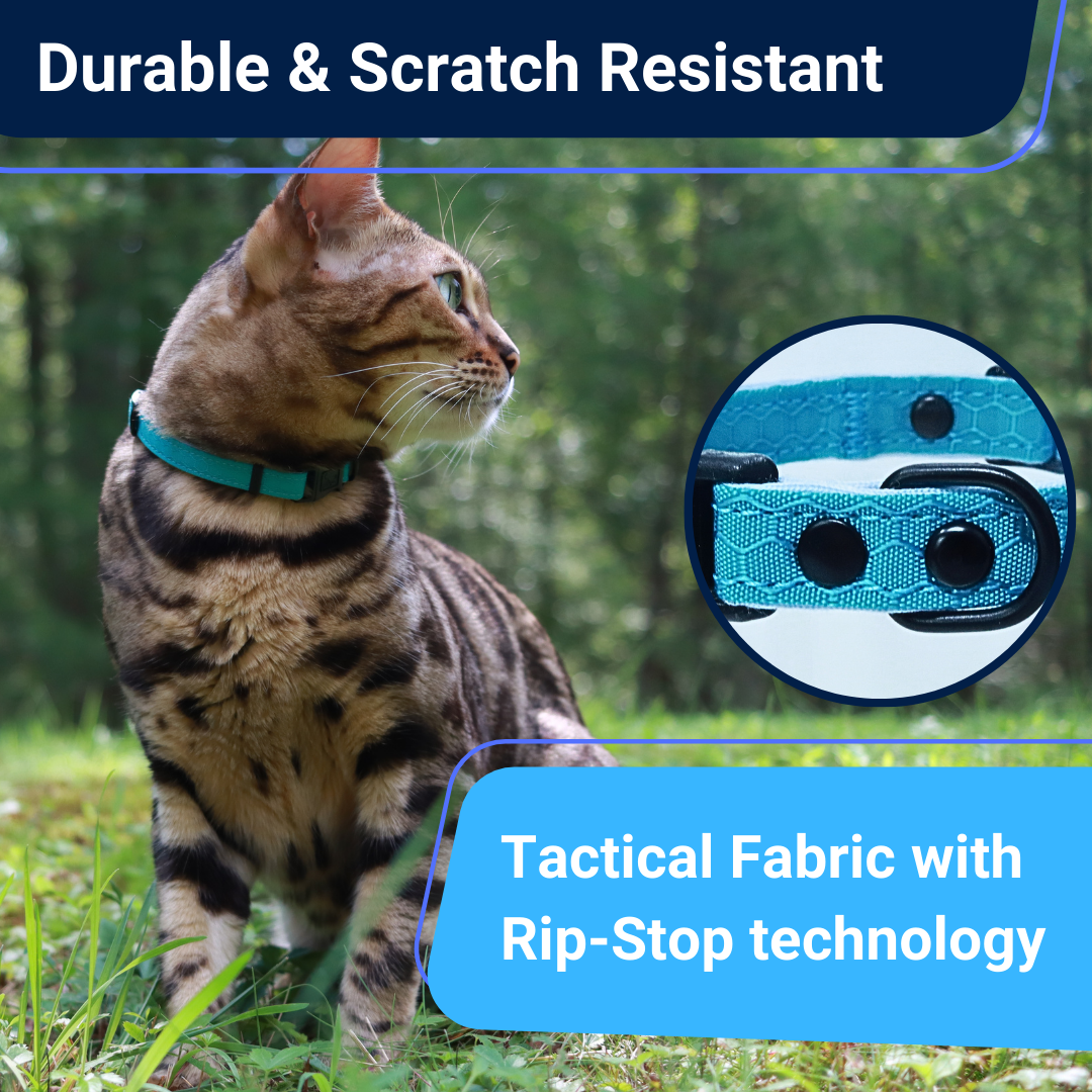 Antibacterial Breakaway Cat Collar