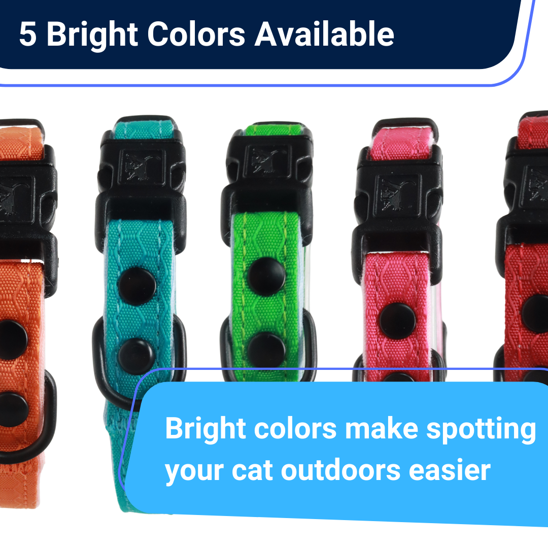 Durable Break Away Cat Collar