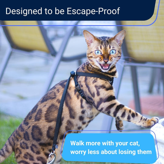 Houdini Escape Resistant Cat Harness and Leash Set Stop Escapes OutdoorBengal